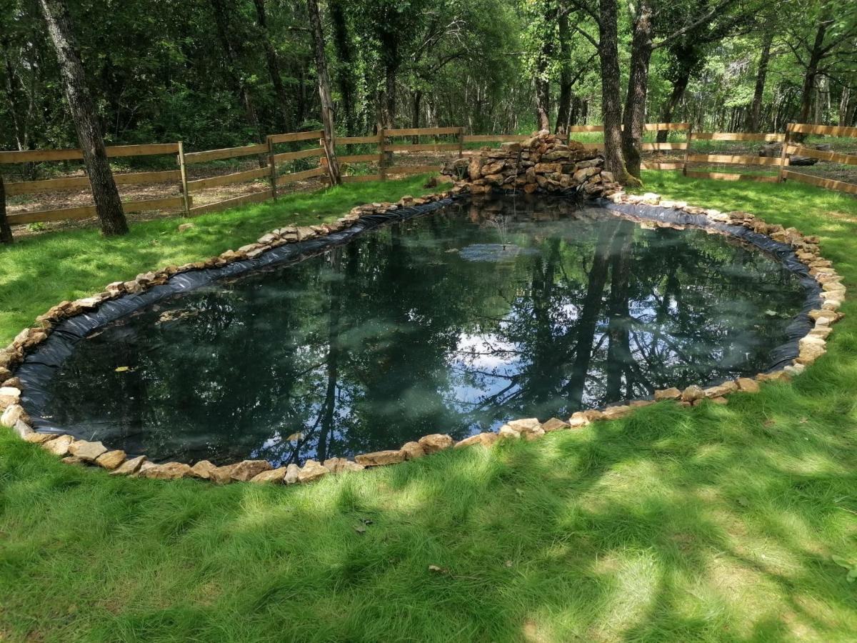 7-Gite-7 Personnes Au Coeur De La Nature /Piscine Saint-Aubin-de-Nabirat Esterno foto