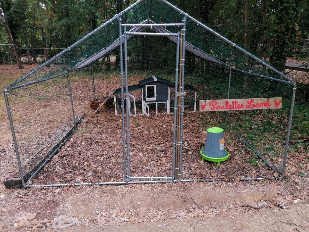 7-Gite-7 Personnes Au Coeur De La Nature /Piscine Saint-Aubin-de-Nabirat Esterno foto